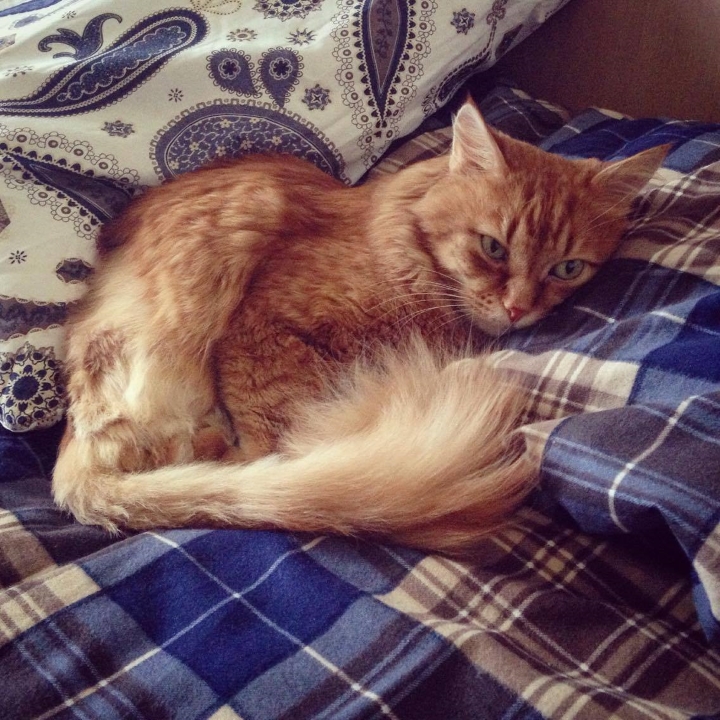 Запись от 01.06.2017