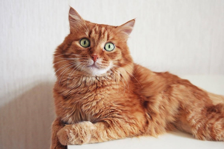 Запись от 03.05.2017