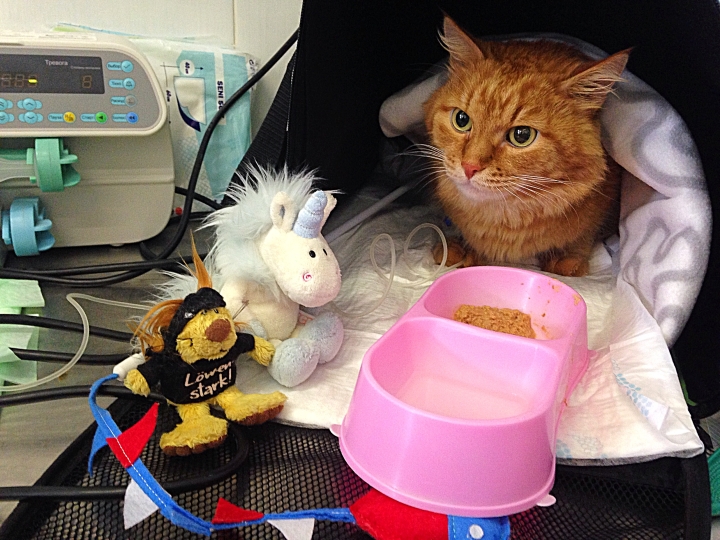 Запись от 04.03.2017