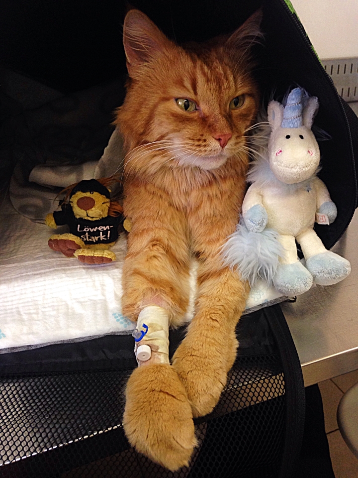 Запись от 05.03.2017