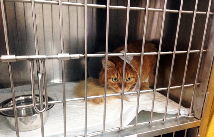 Запись от 06.03.2017