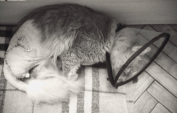 Запись от 07.03.2017