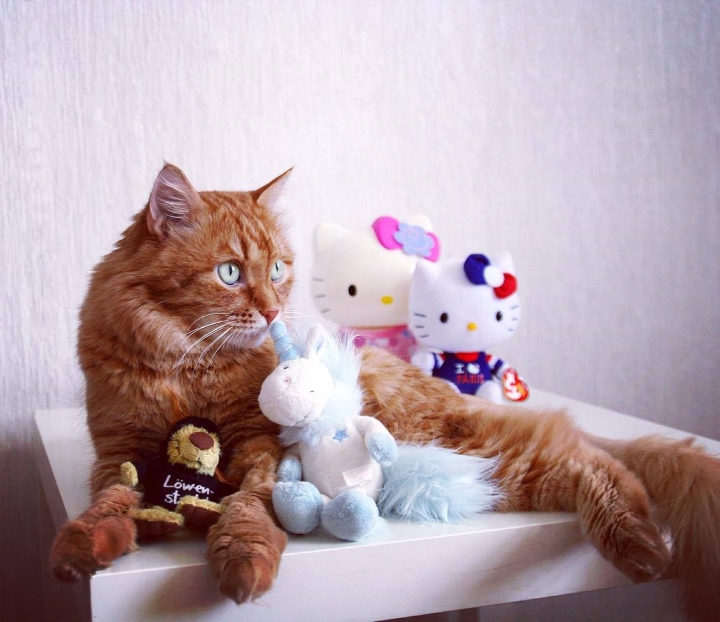 Запись от 07.05.2017