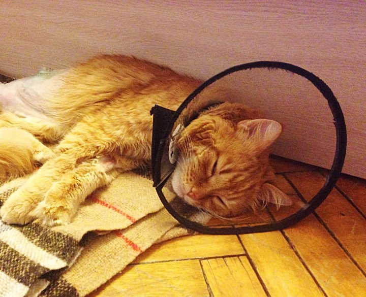 Запись от 08.03.2017