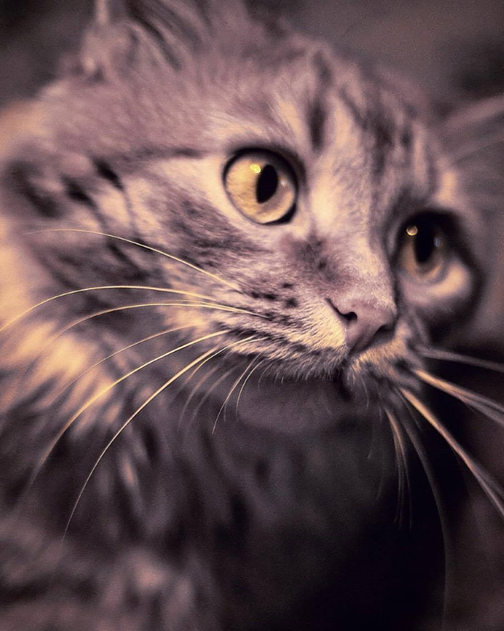 Запись от 12.03.2017