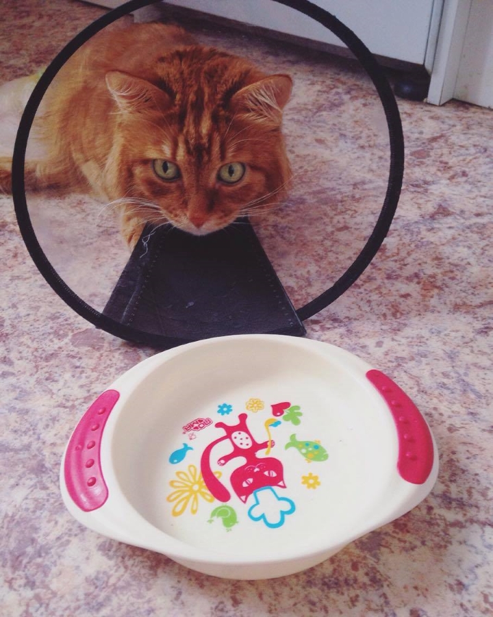 Запись от 13.03.2017