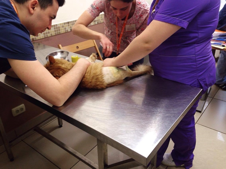 Запись от 14.03.2017