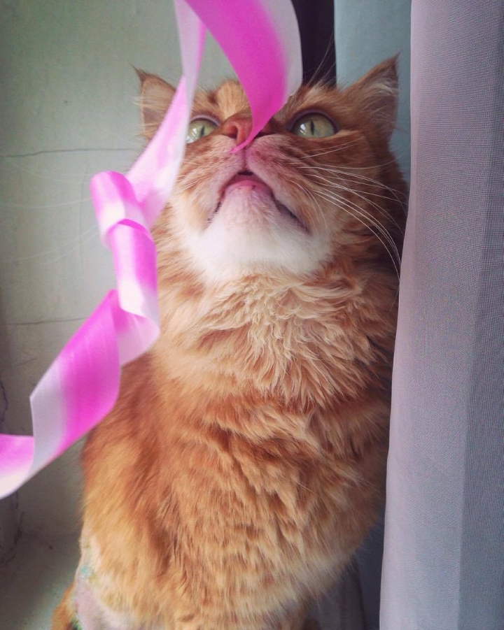 Запись от 21.03.2017