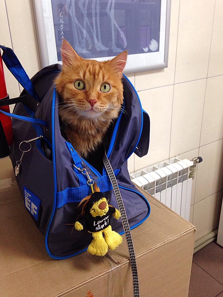 Запись от 23.02.2017