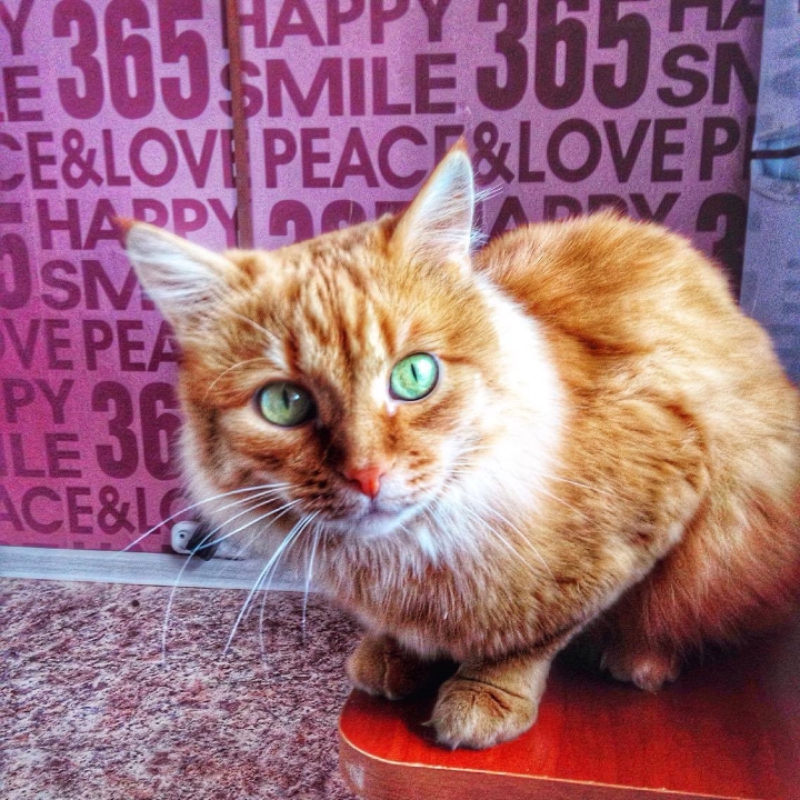 Запись от 24.04.2017