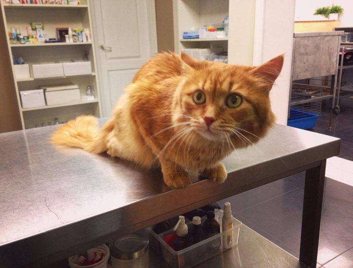 Запись от 24.05.2017