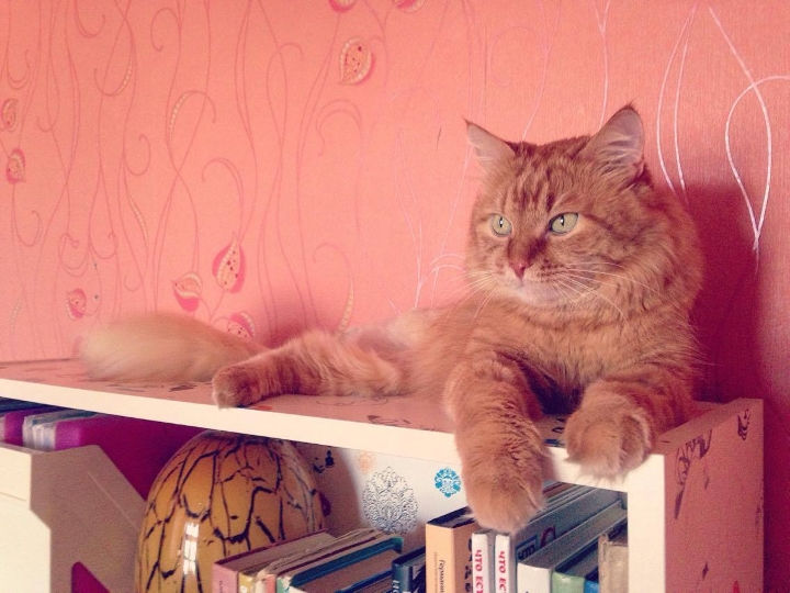 Запись от 26.03.2017