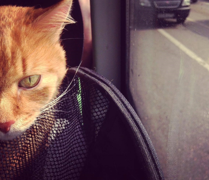 Запись от 26.05.2017