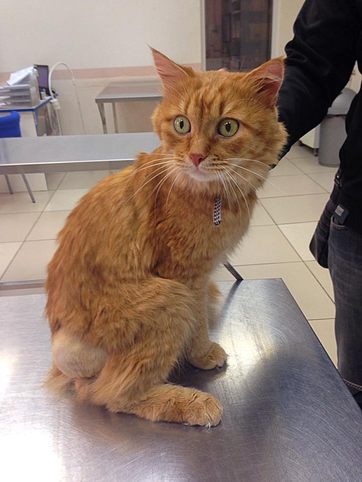 Запись от 27.02.2017