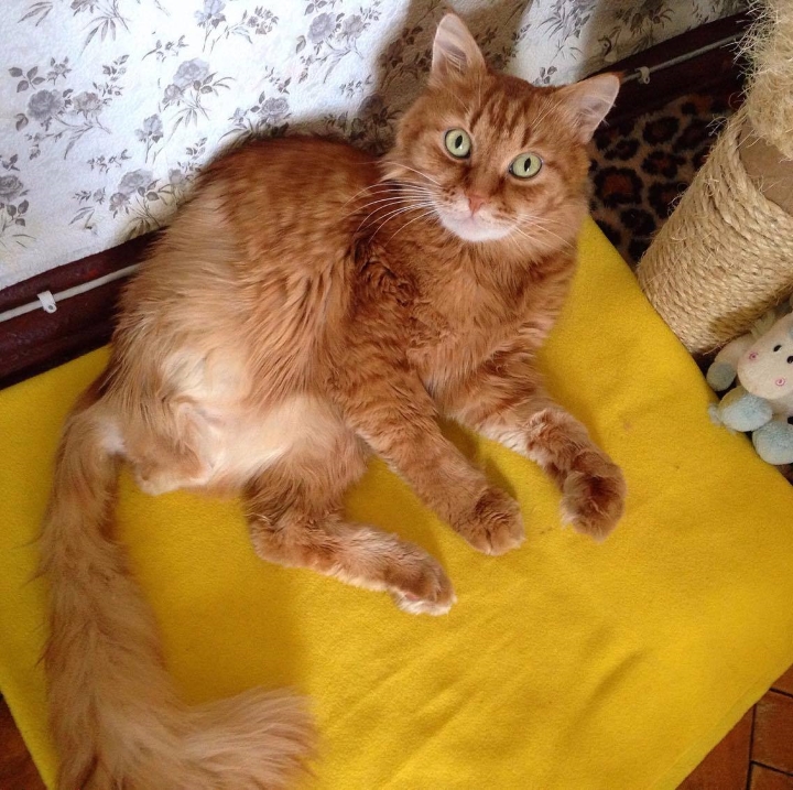 Запись от 28.05.2017